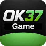 OK 37 Game