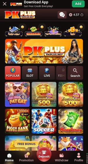 PKPLUS Game