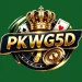 PKWG5D Game