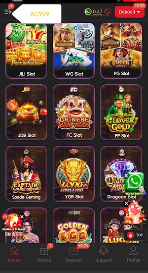 AC999 Game